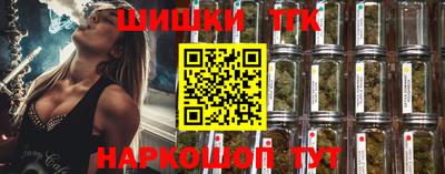 тгк Будённовск