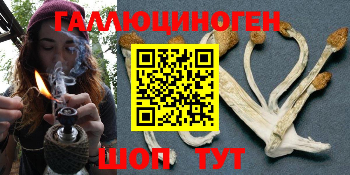 Коммунар  Галлюциногенные грибы мухоморы  Вход с VPN  Псилоцибиновые грибы MAGIC MUSHROOMS 